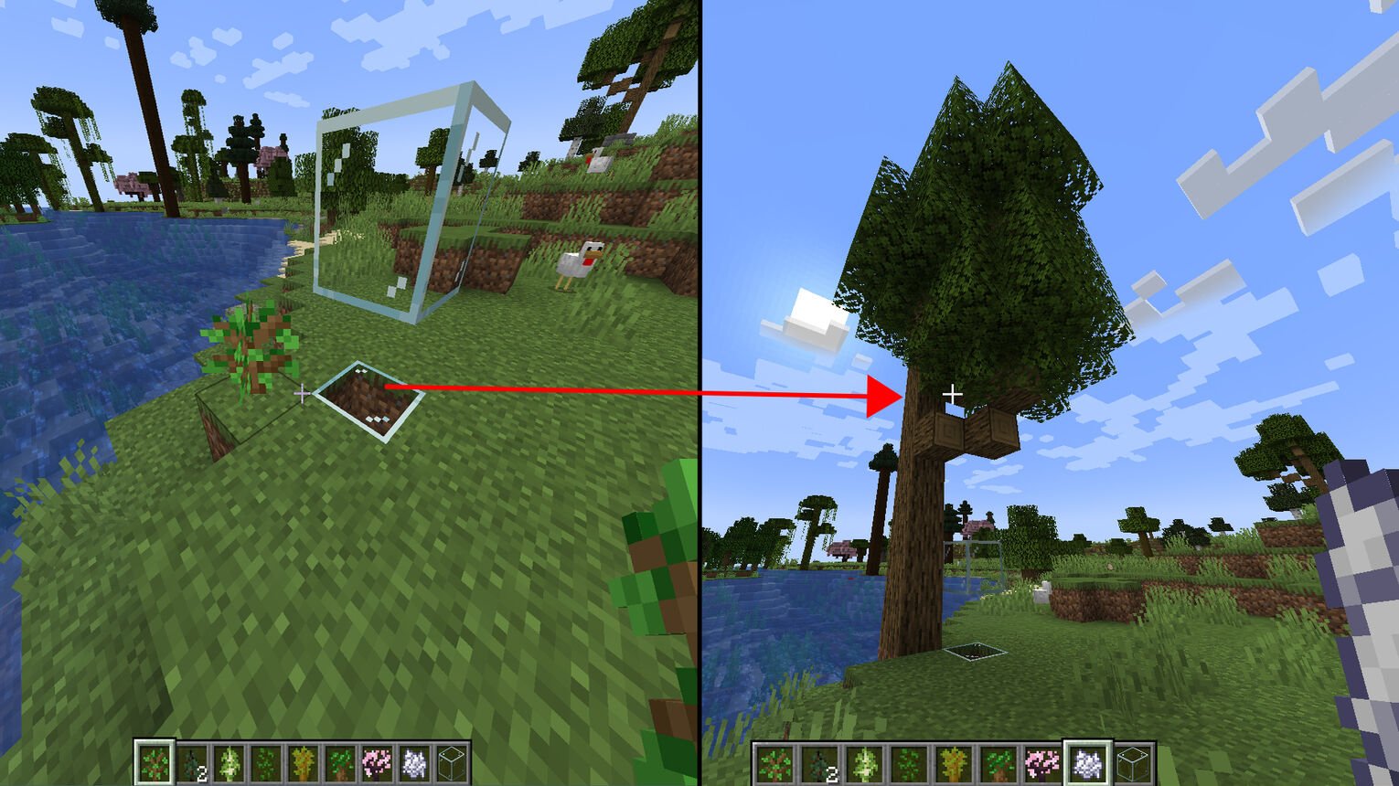 Minecraft How to Grow Tree Bigger Oak Sapling