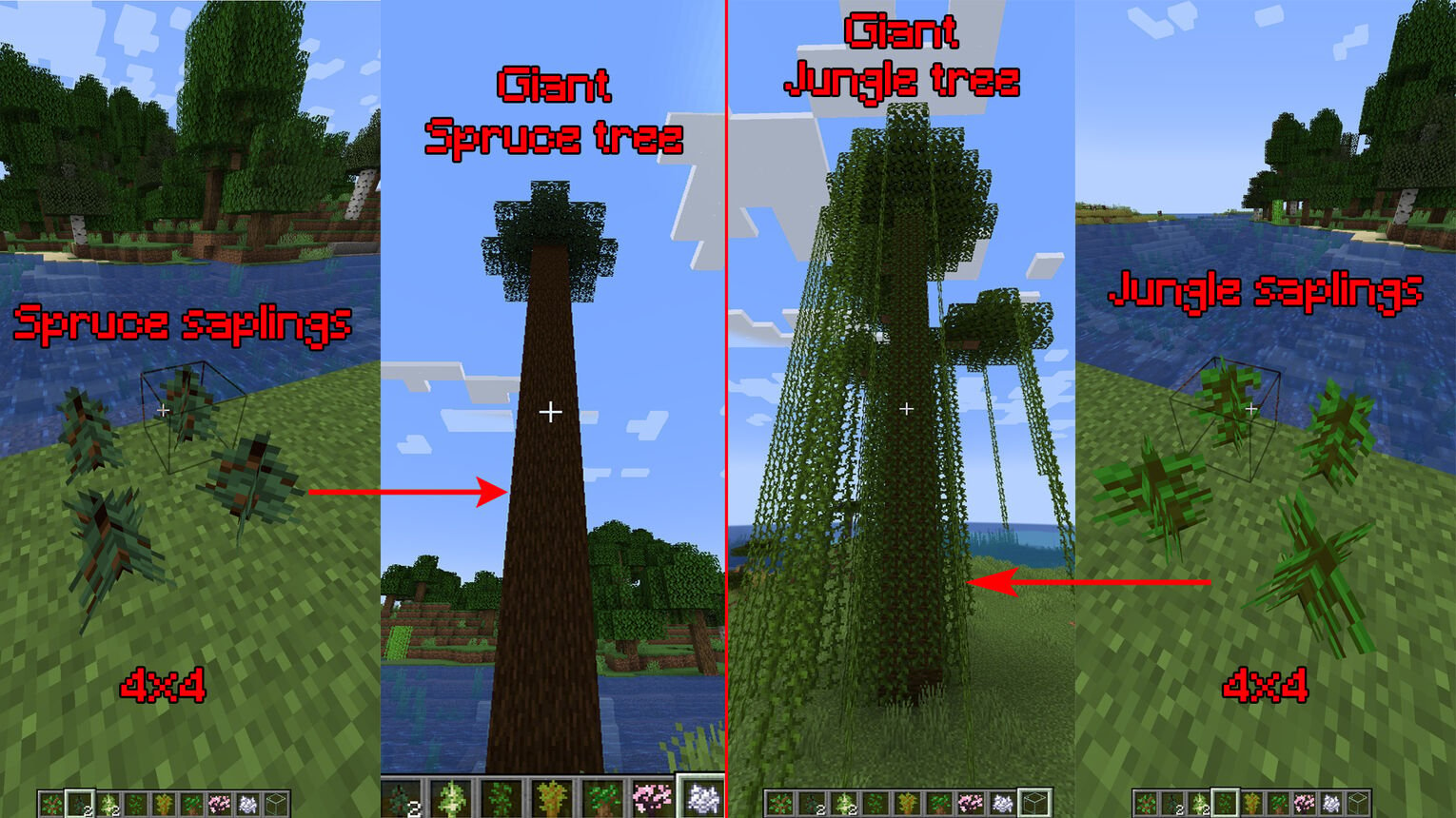 Minecraft How to Grow Giant Trees Spruce Jungle Saplings