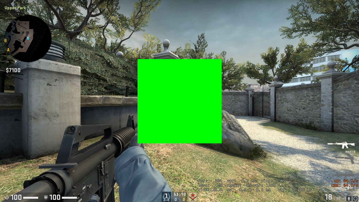 The Green Screen