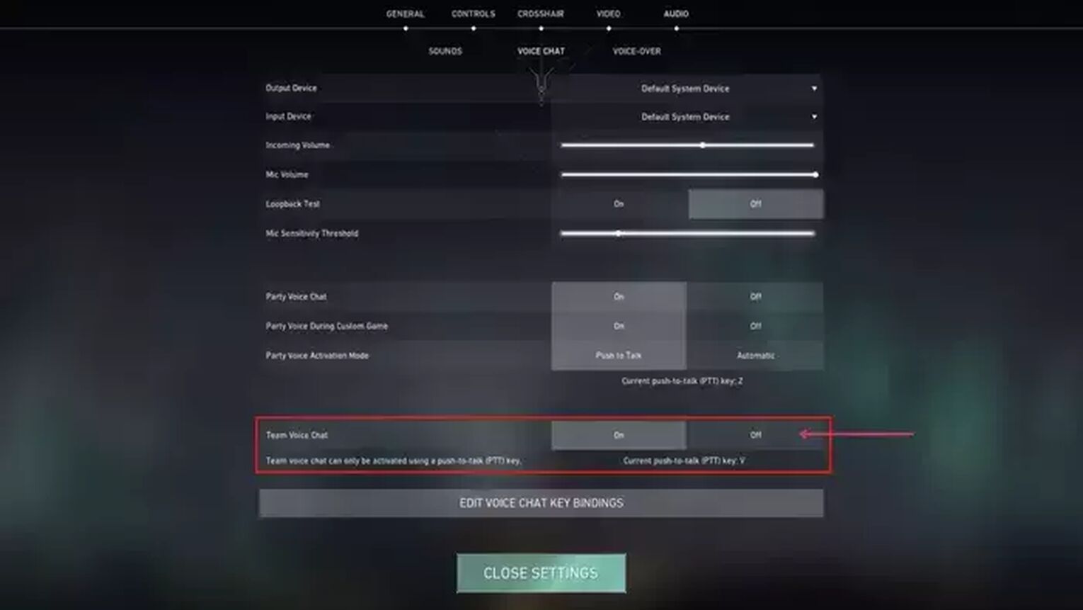 Team Voice Chat Disable