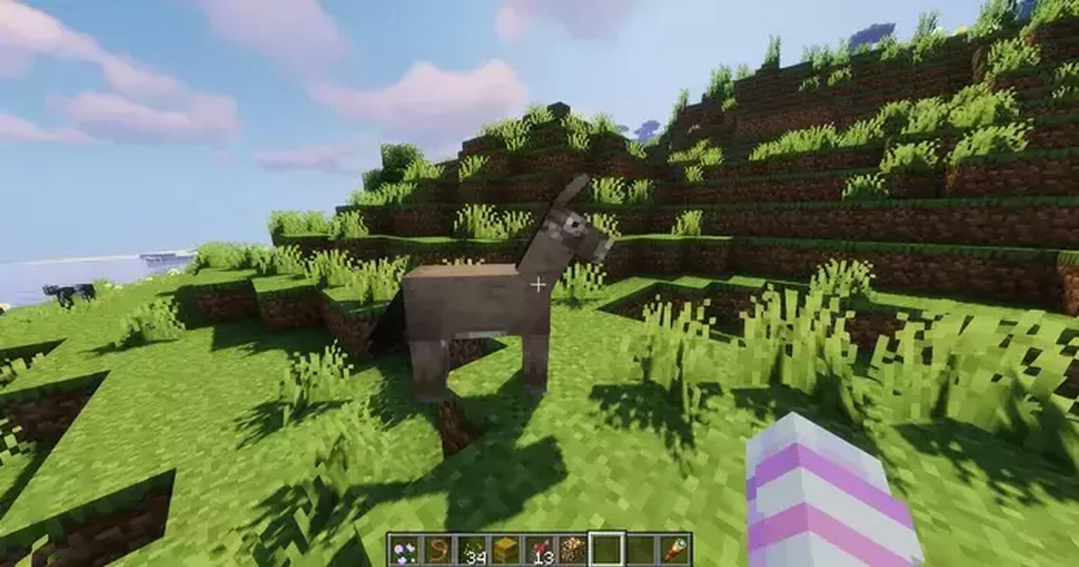 Minecraft Donkey Spawn