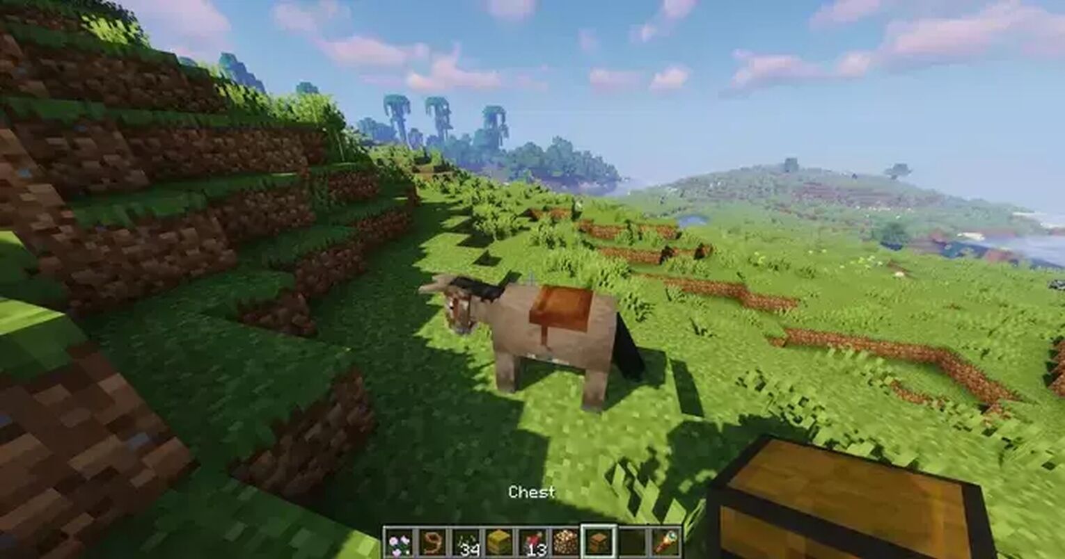 How to Equip Chests on a Minecraft Donkey