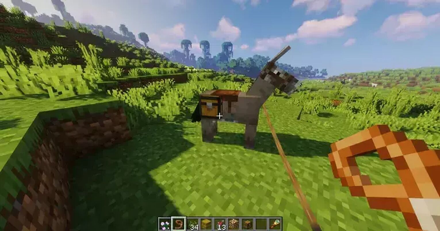 Equiping Chests on a Minecraft Donkey