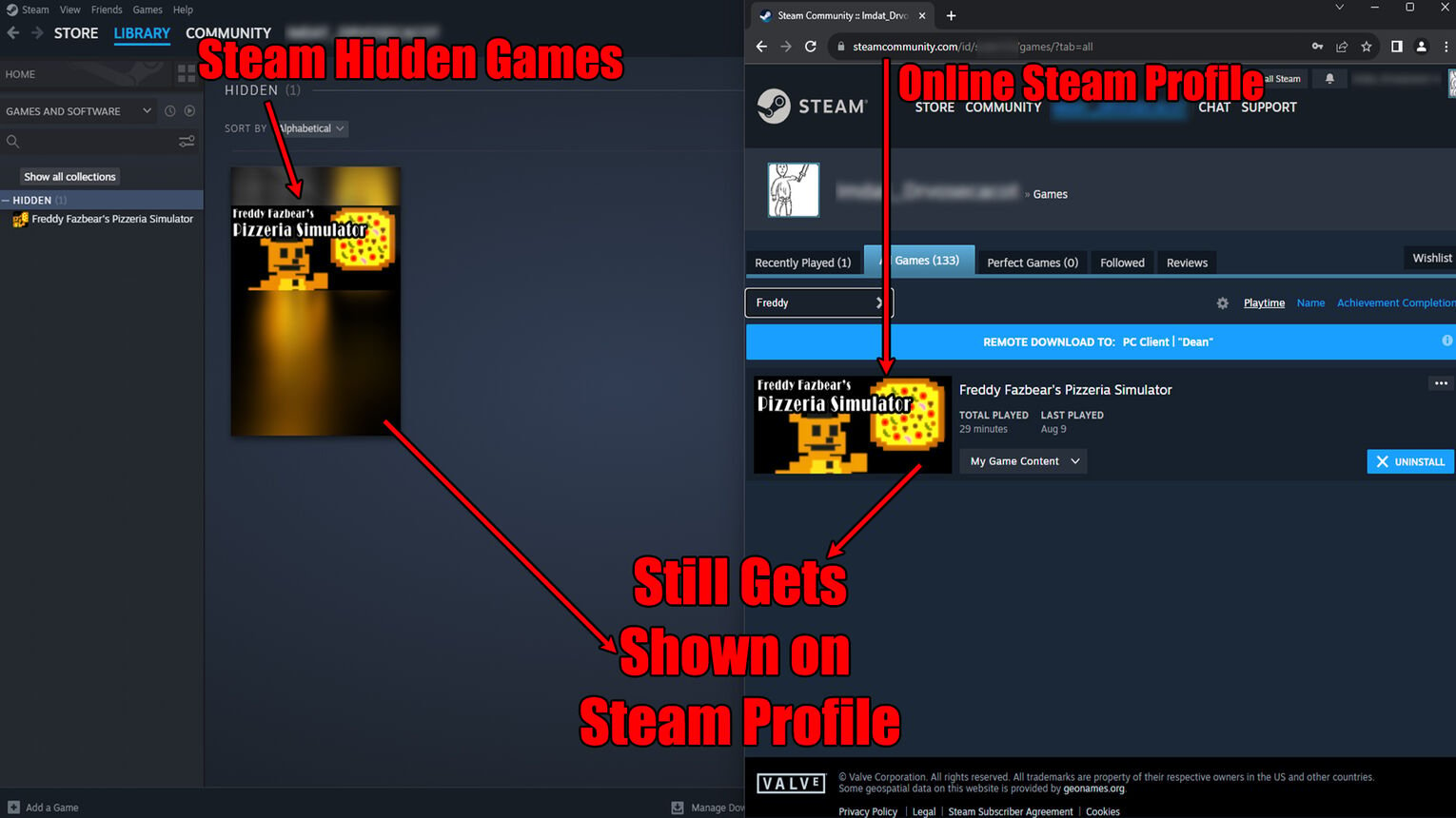 Steam Hidden Games Shown on Profile