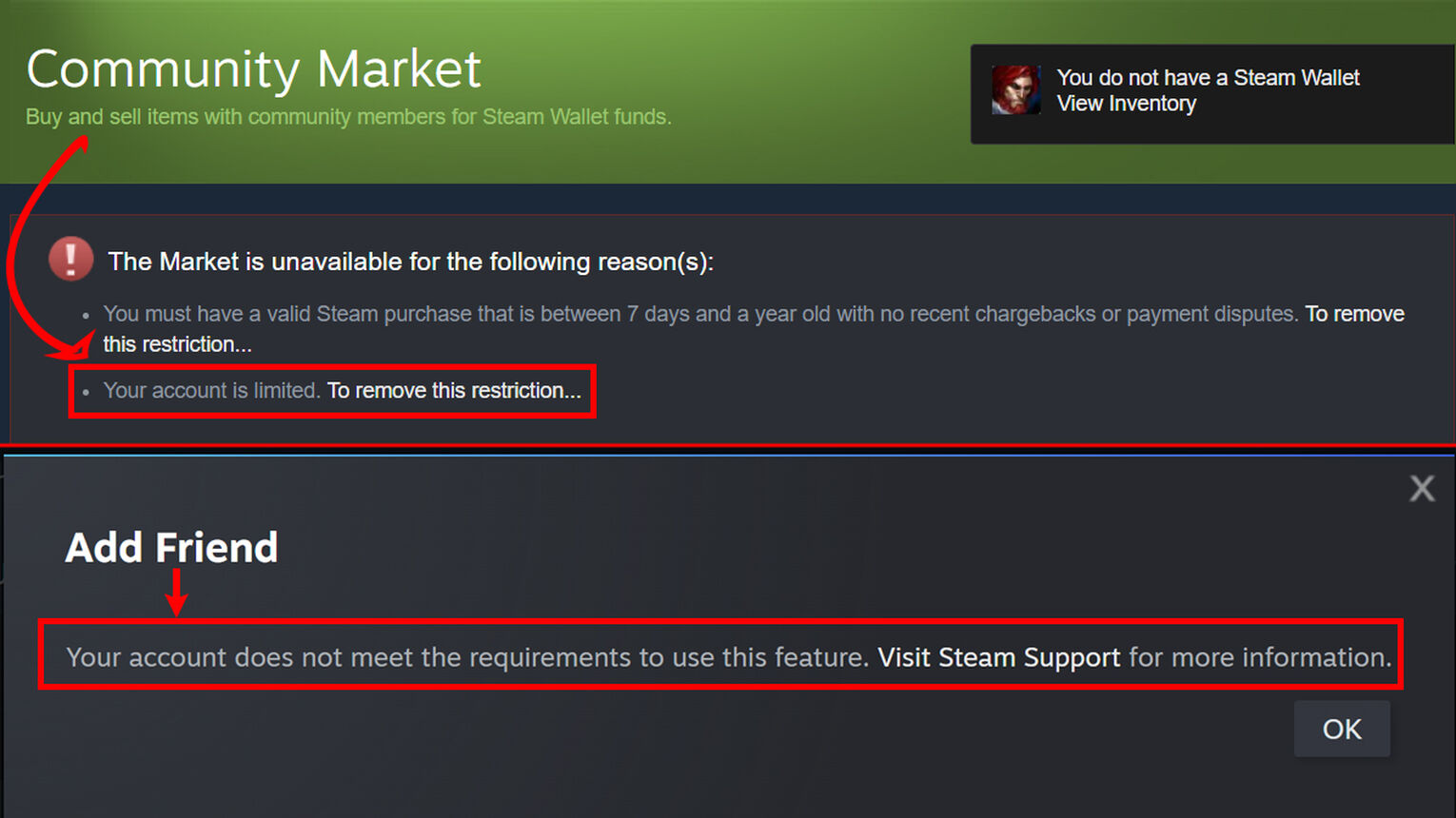 Steam Limited Account Features Locked