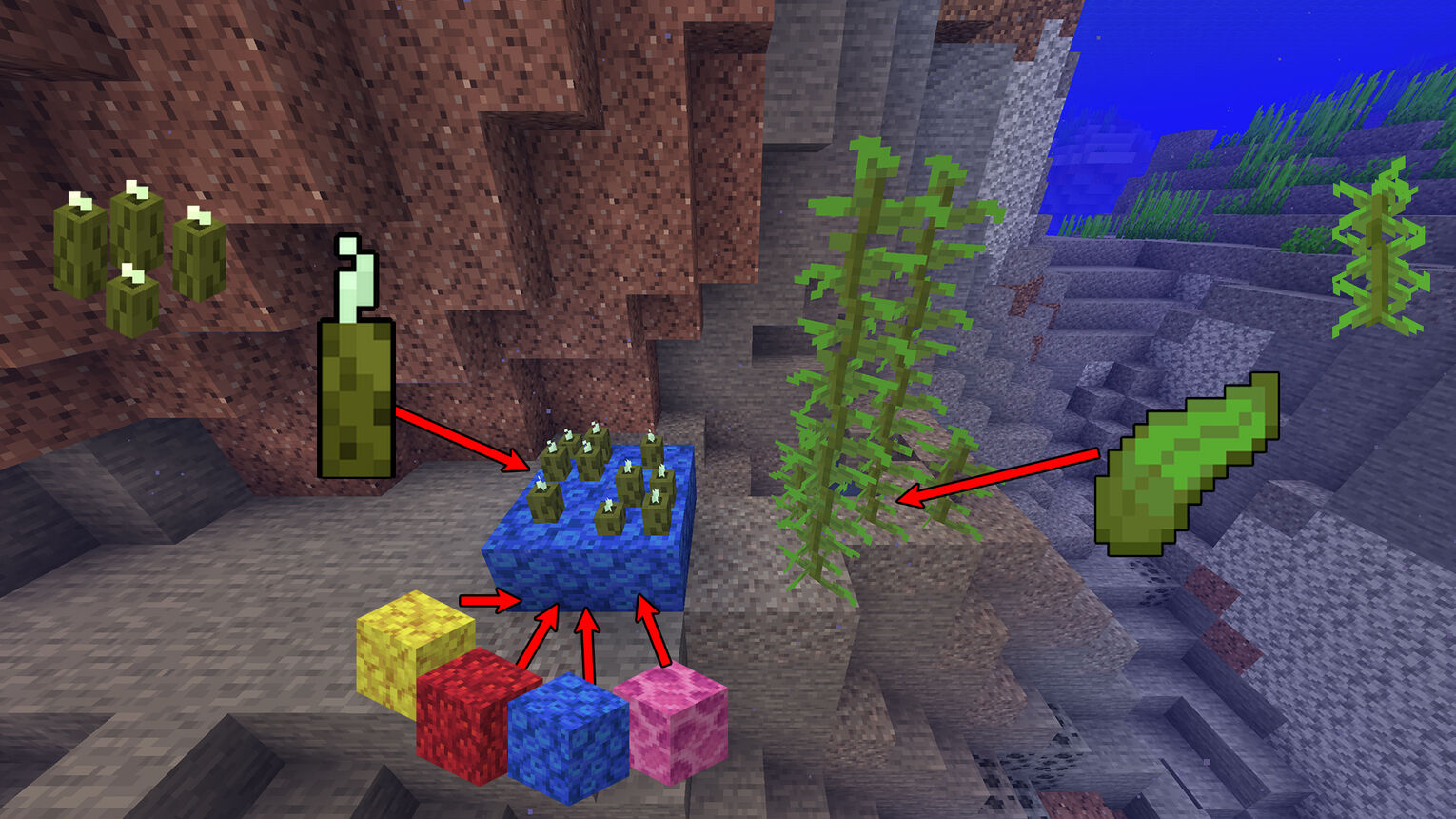 Minecraft Growing Sea Pickles and Kelp