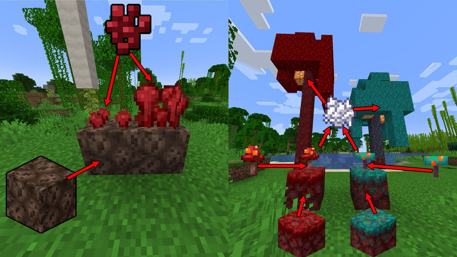 Minecraft Growing Nether Wart and Fungus