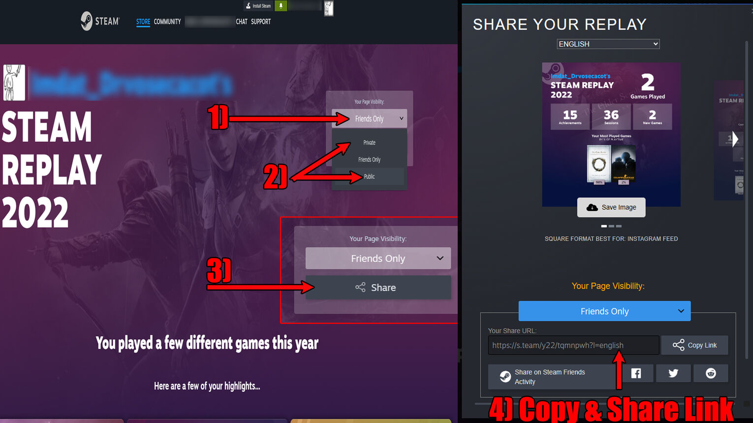 Steam How to Share Replay