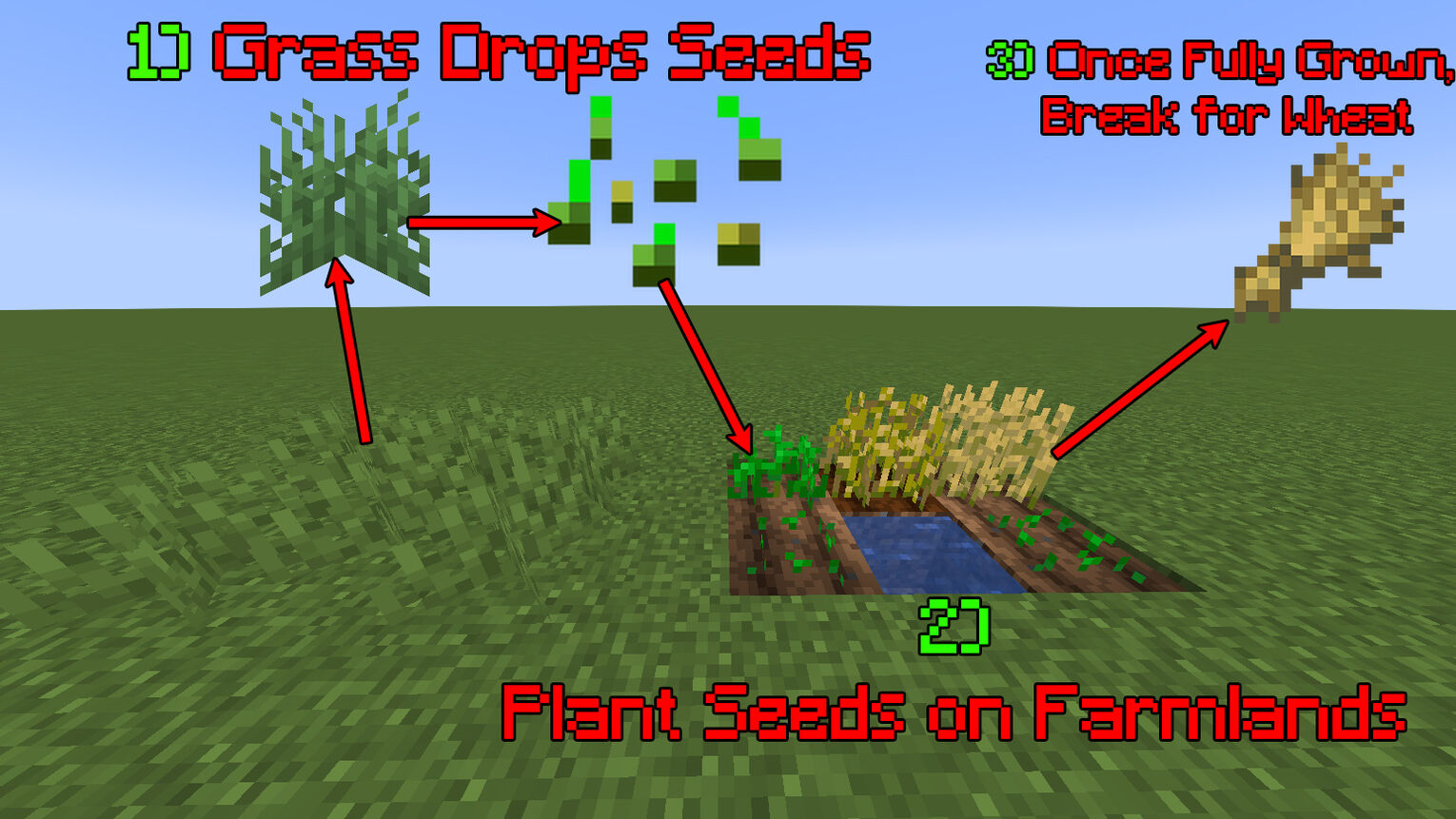 Minecraft How to Grow Wheat