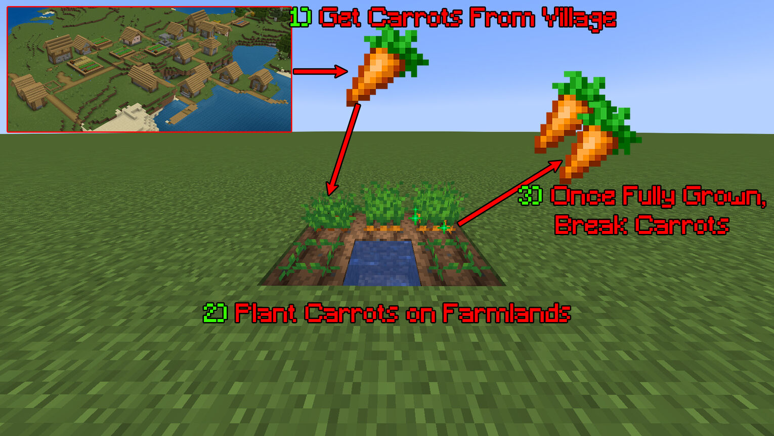 Minecraft How to Grow Carrots