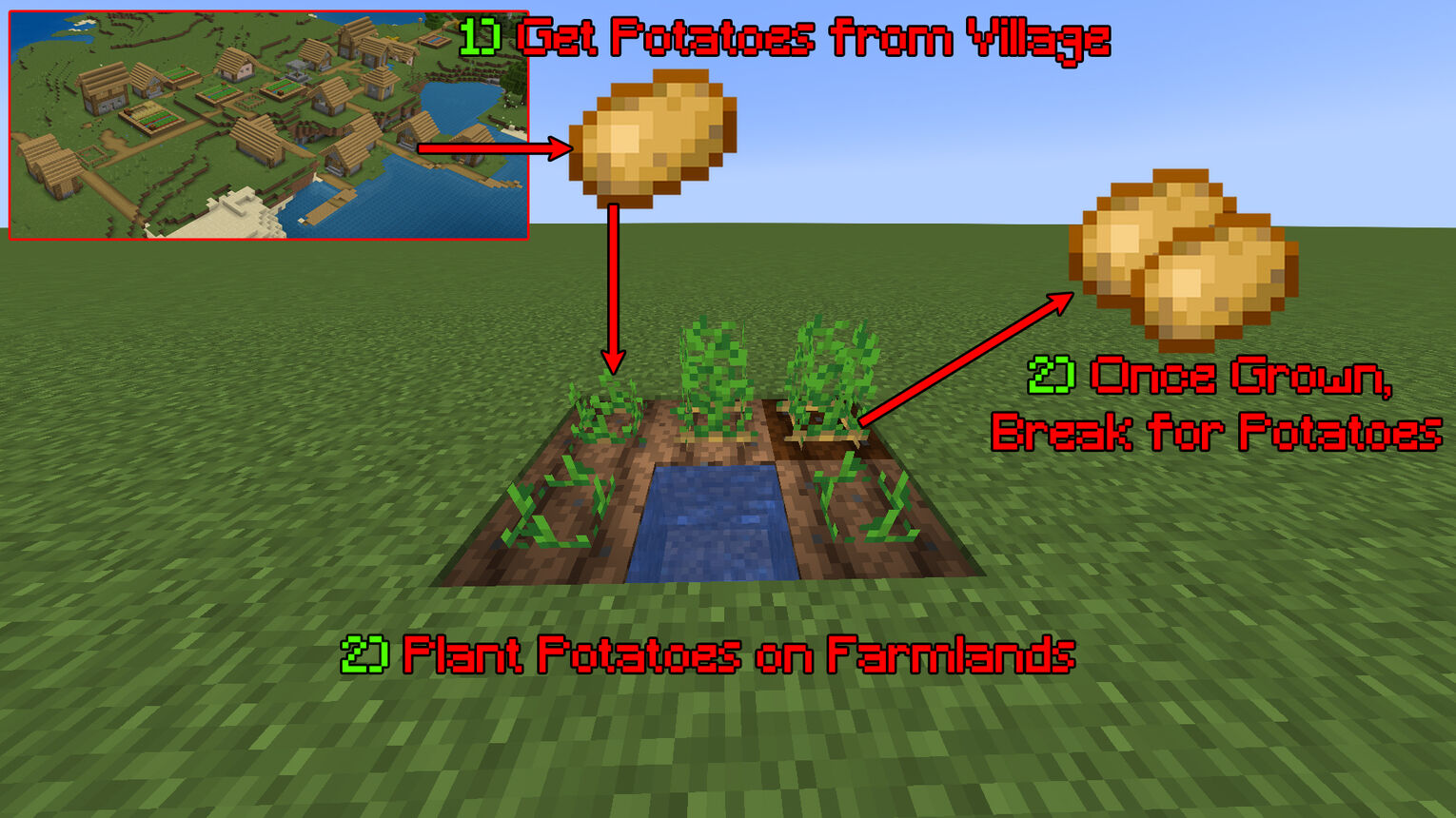 Minecraft How to Grow Potatoes