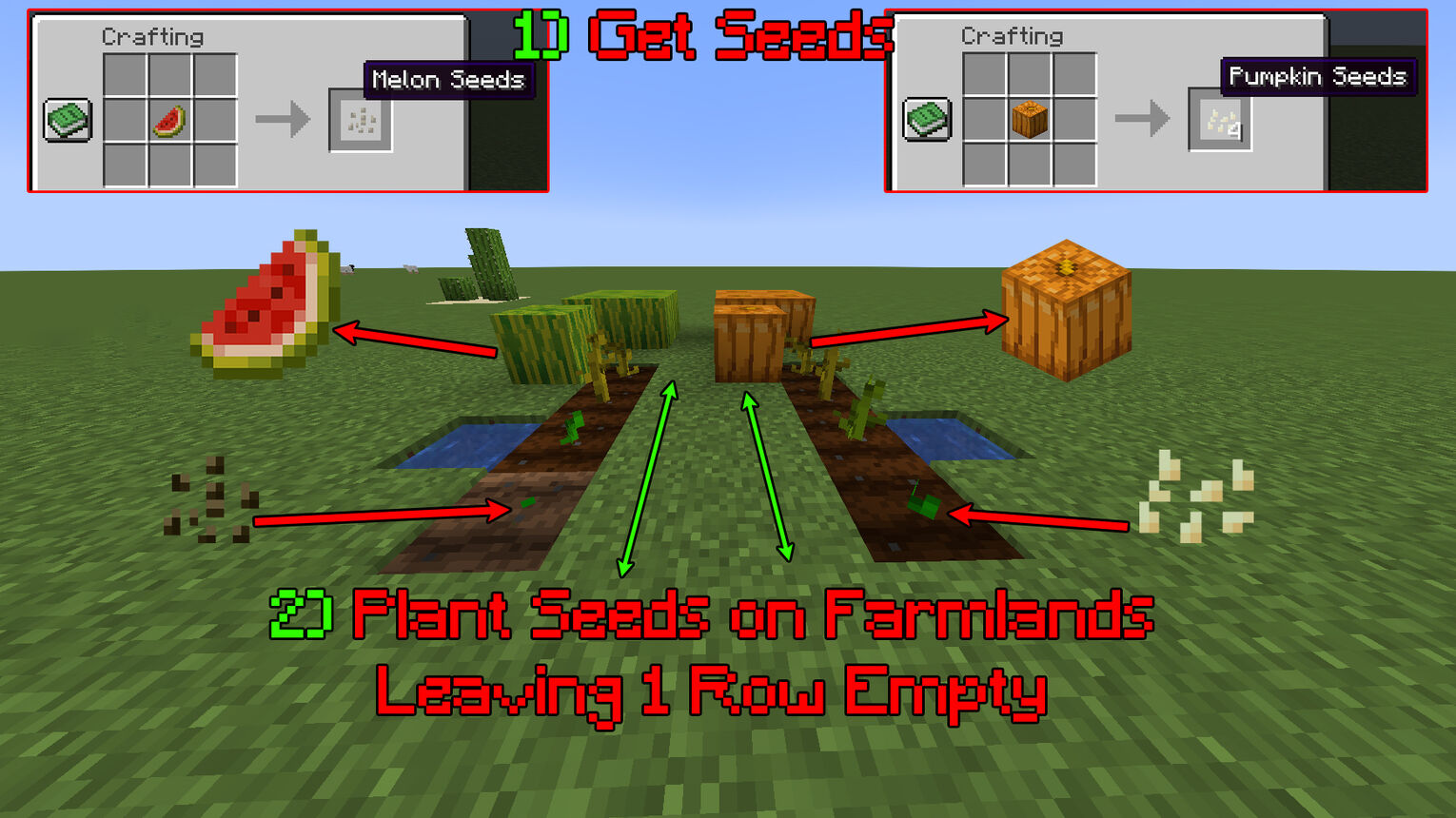 Minecraft How to Grow Pumpkins and Melons