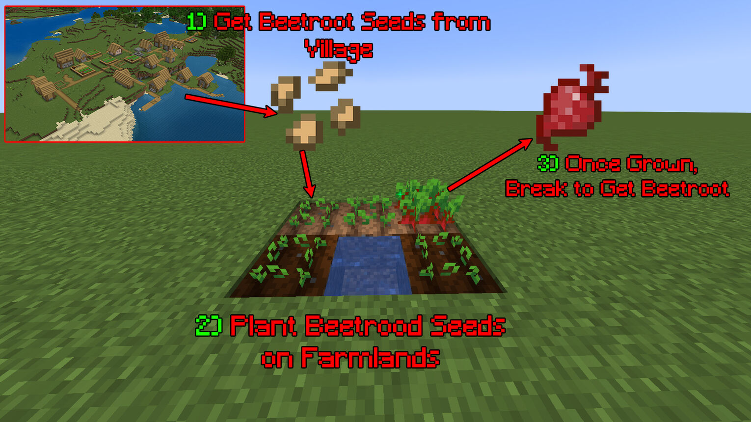 Minecraft How to Grow Beetroot