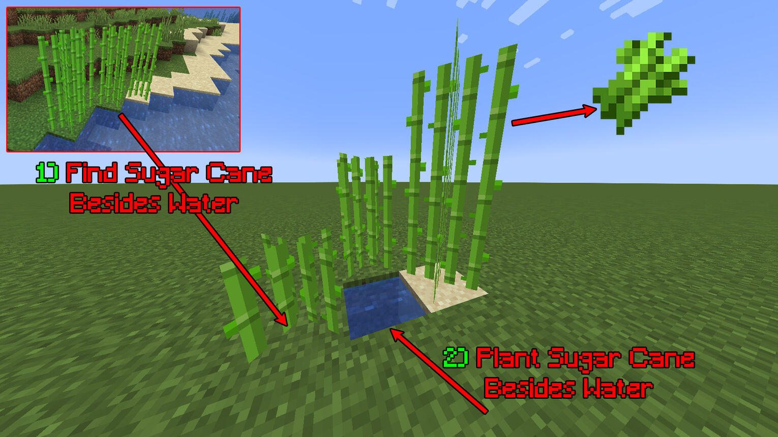 Minecraft How to Grow Sugar Cane