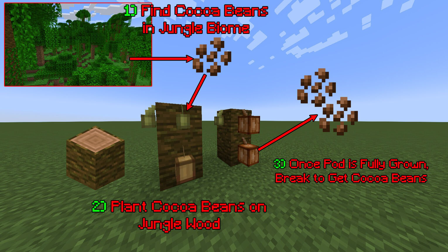 Minecraft How to Grow Cocoa Beans