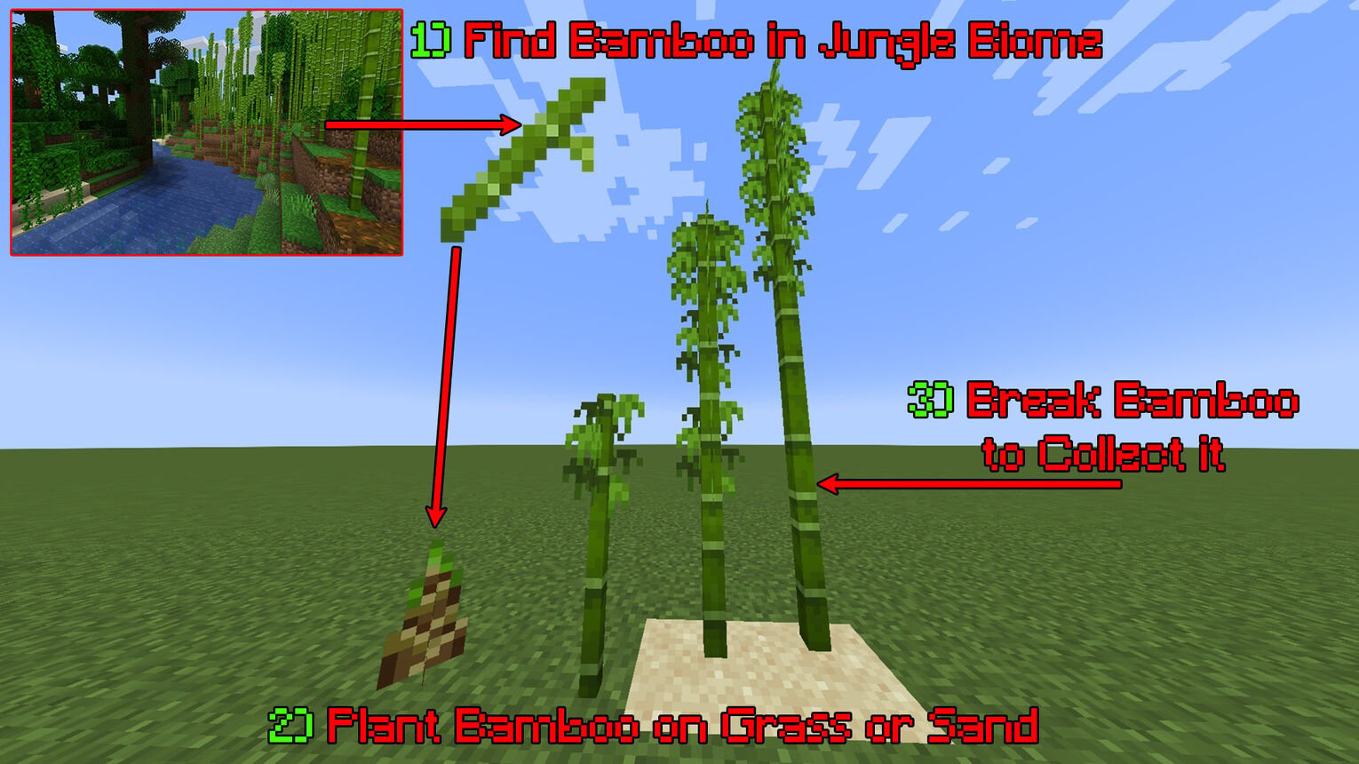 Minecraft How to Grow Bamboo