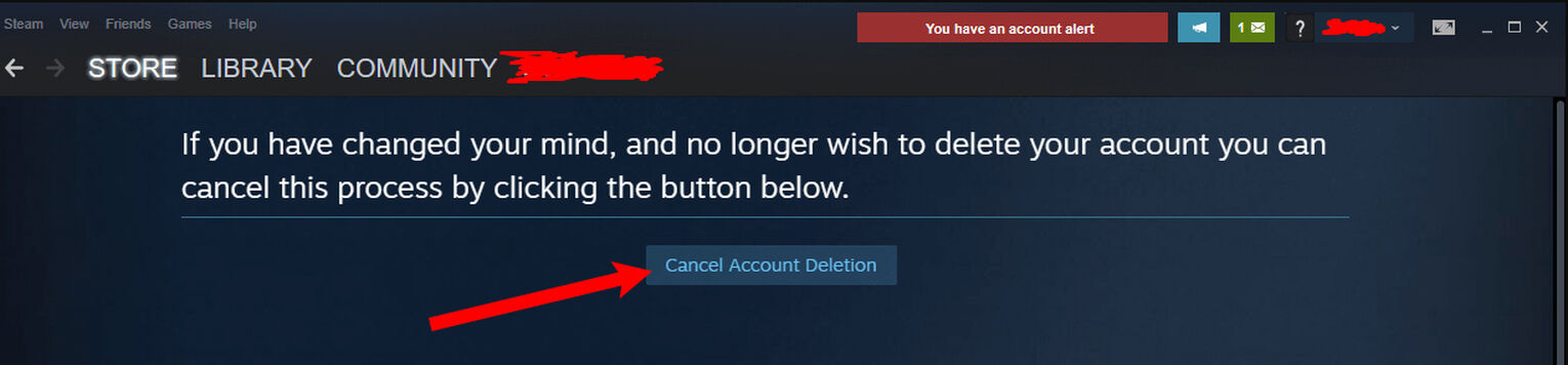 Steam Cancel Account Deletion Option