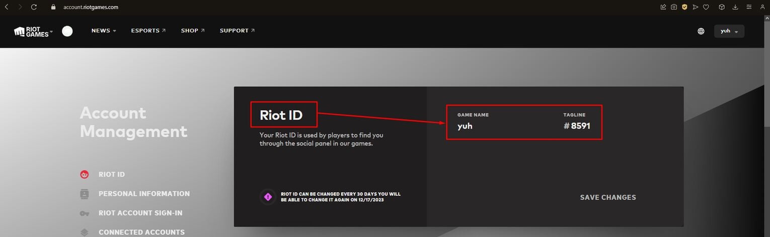 Riot ID On Website