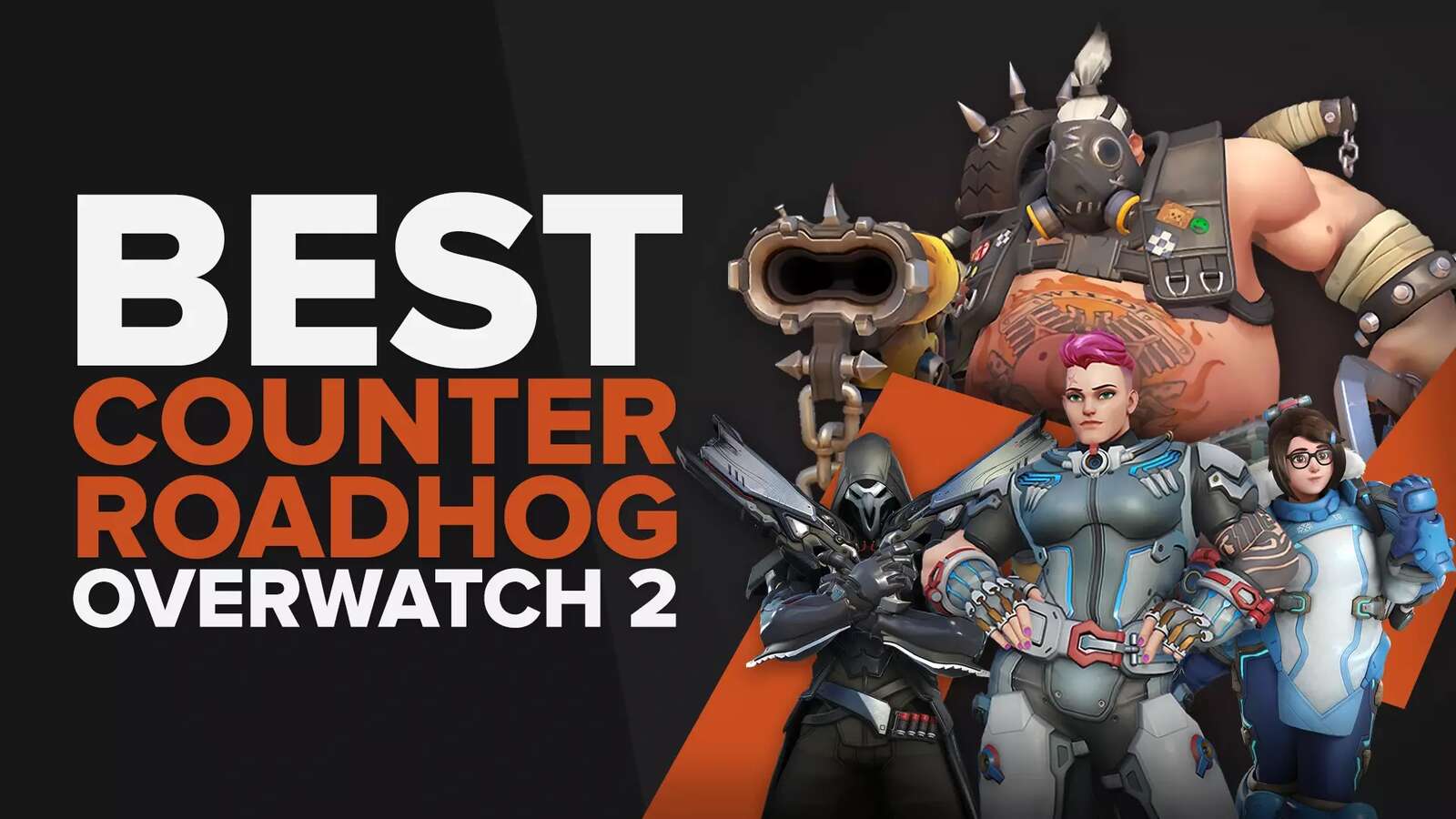 The 6 Absolute Best Counters for Roadhog in Overwatch 2