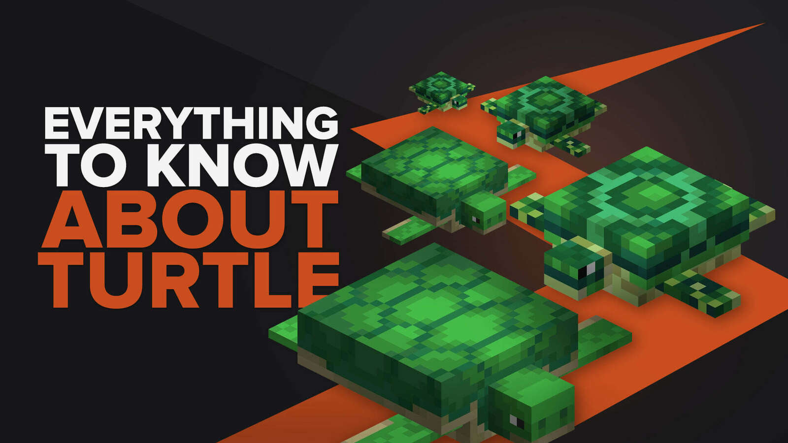 Everything You Need To Know About Turtles In Minecraft