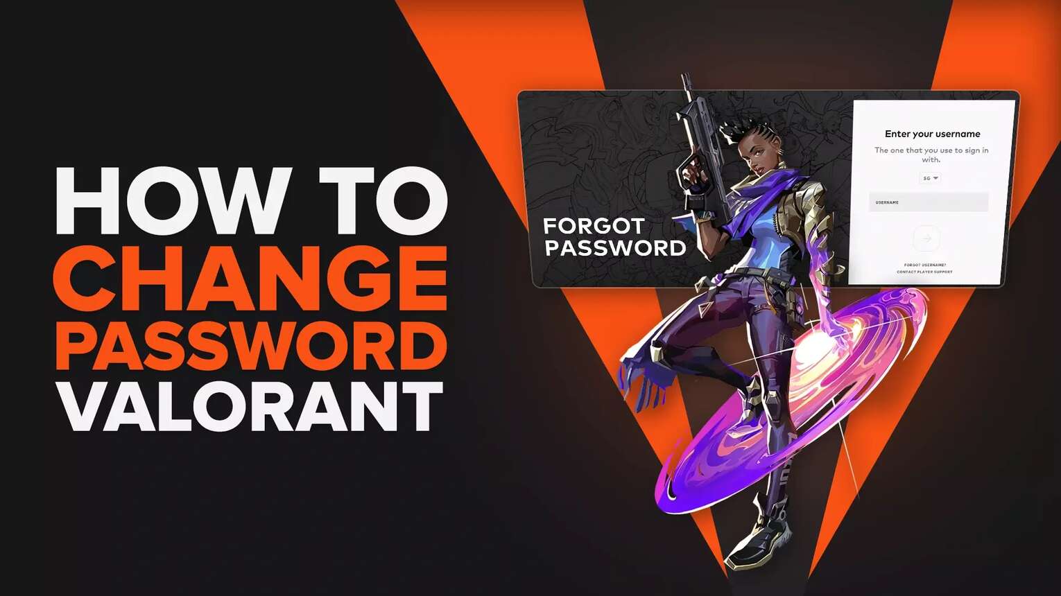 How To Change Your Valorant Password? [Step By Step Guide]
