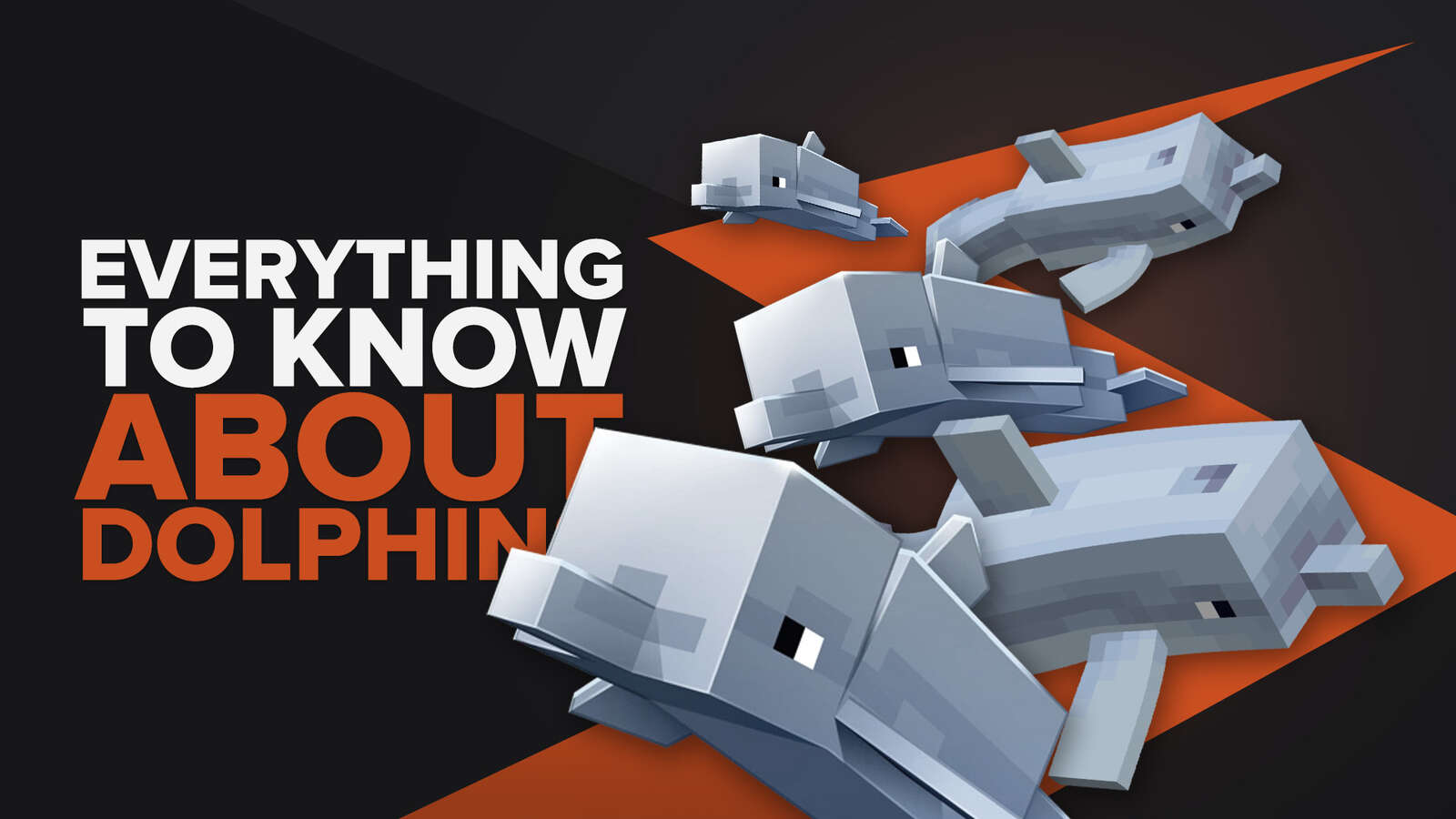 Everything You Need To Know About Dolphins In Minecraft