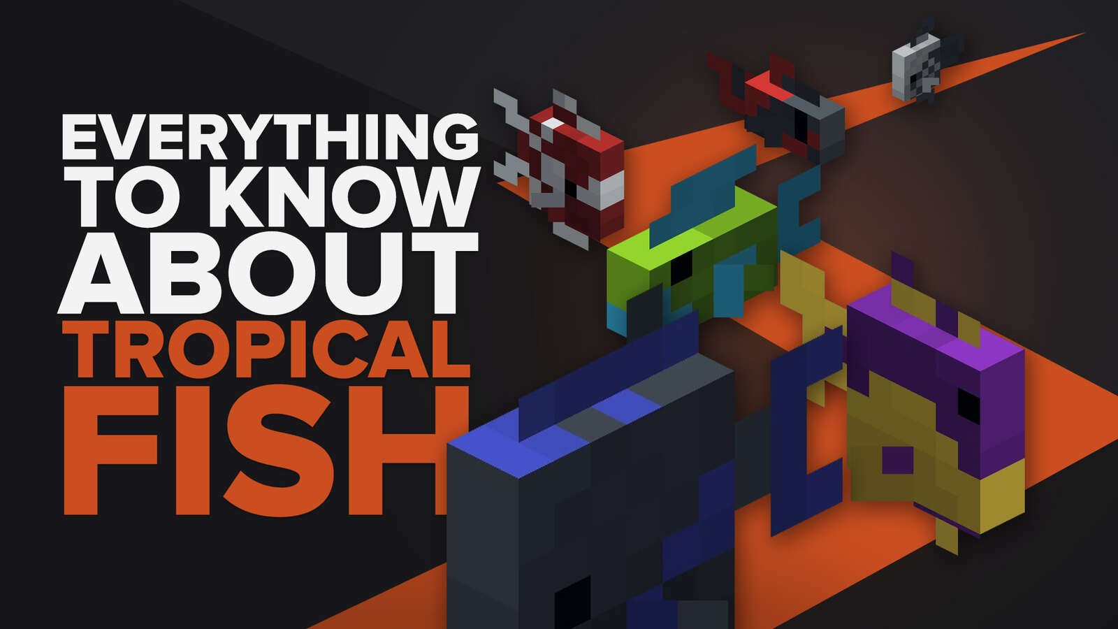 Everything You Need To Know About Tropical Fish Minecraft