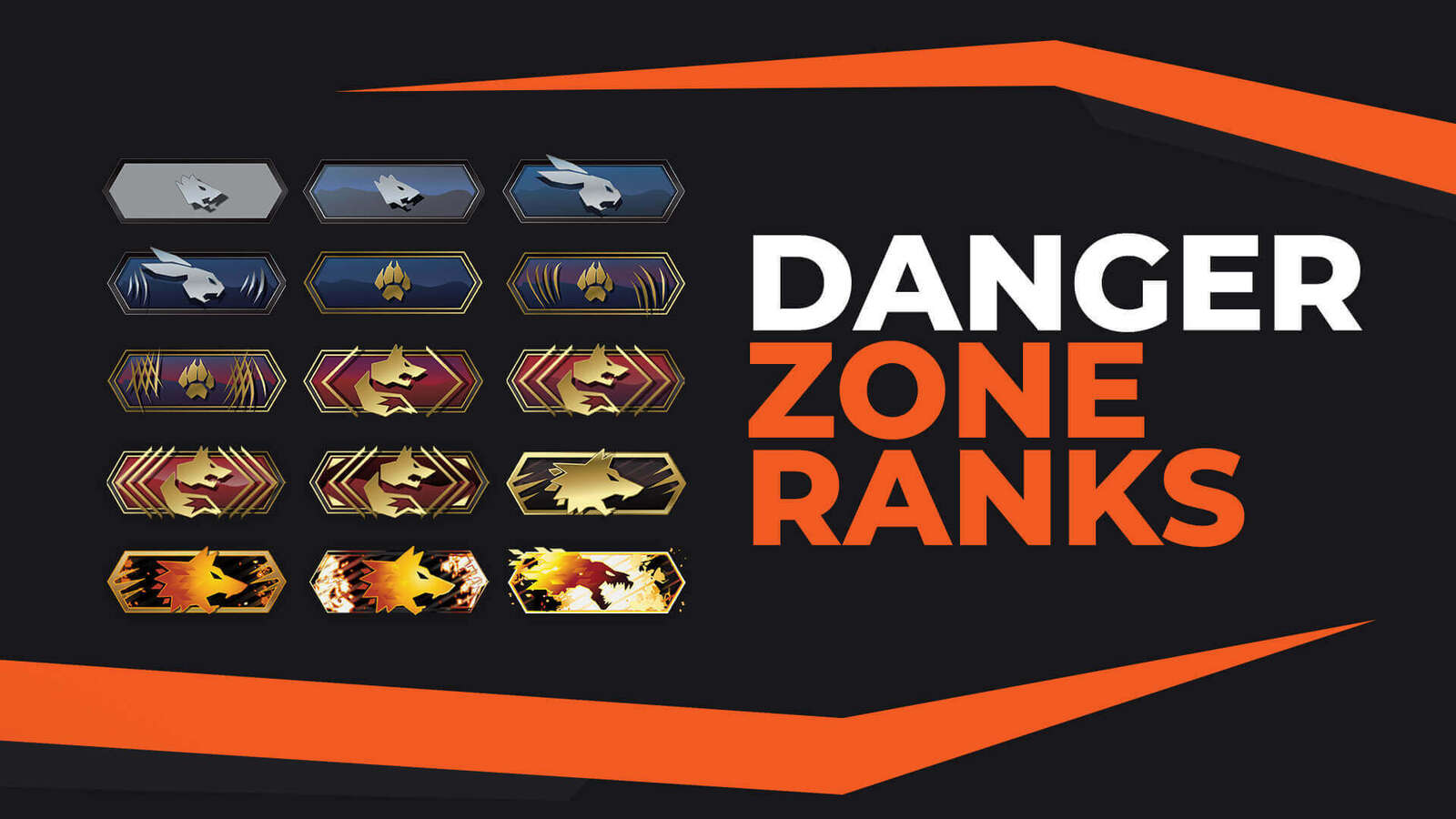 Ultimate CS2 (CSGO) Danger Zone Ranks Guide