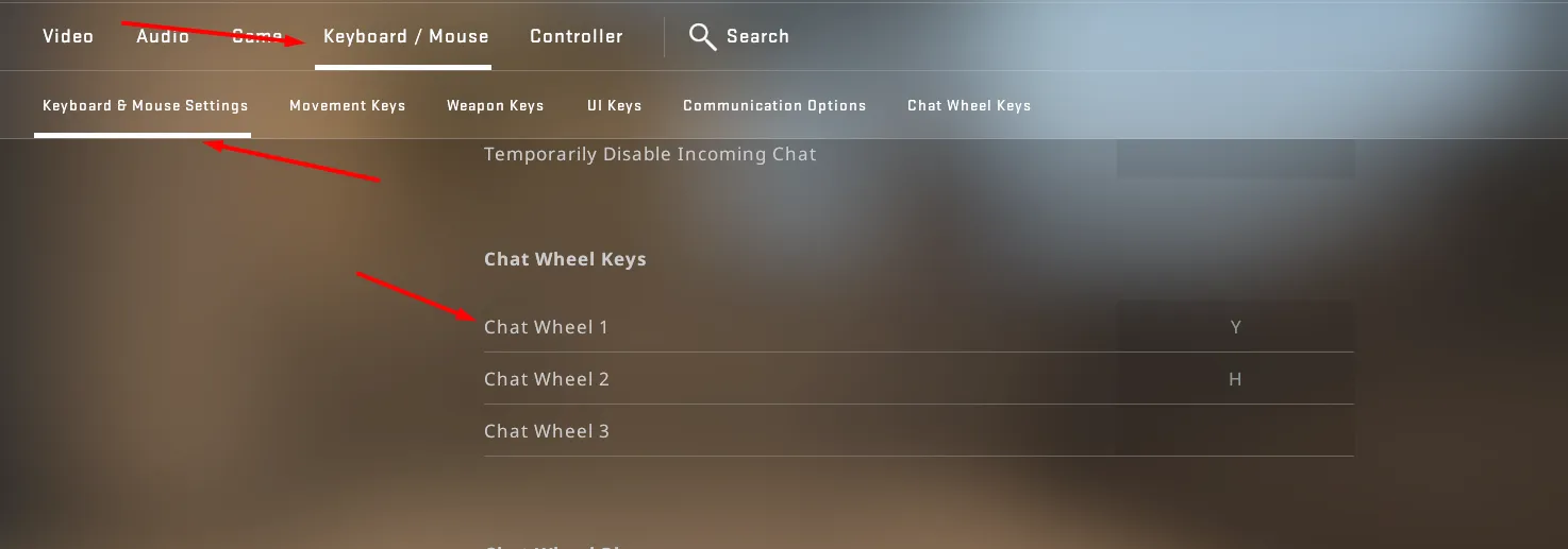 How to enable chat wheel