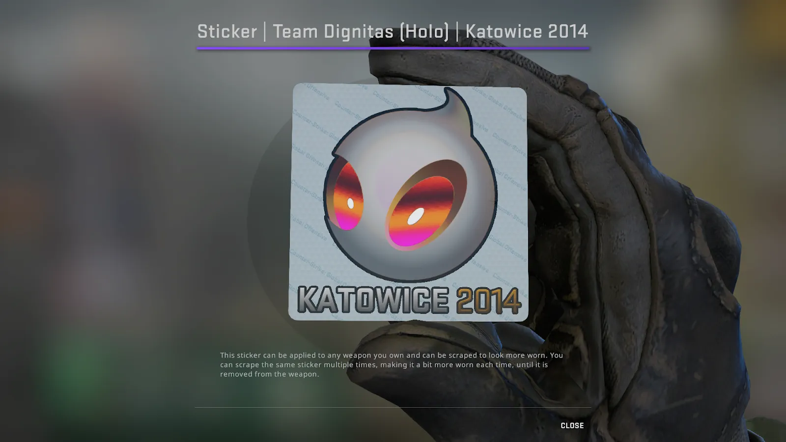 Team Dignitas Katowice 2014 Holo