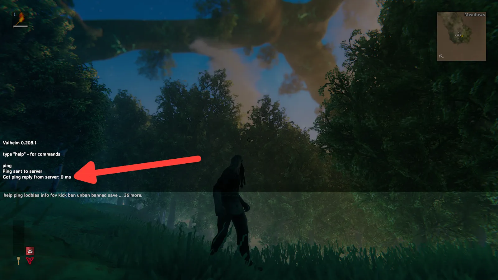 Show Ping in Valheim demonstration image