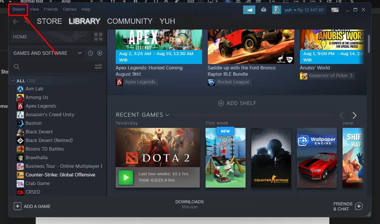 Steam Top Right