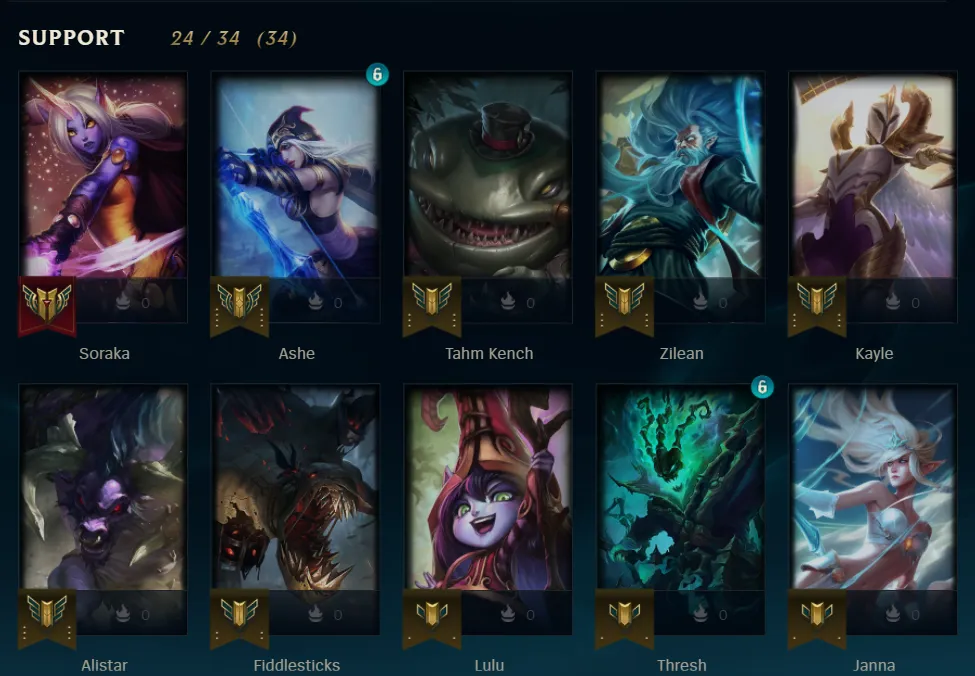 A list of support champions in the collection.