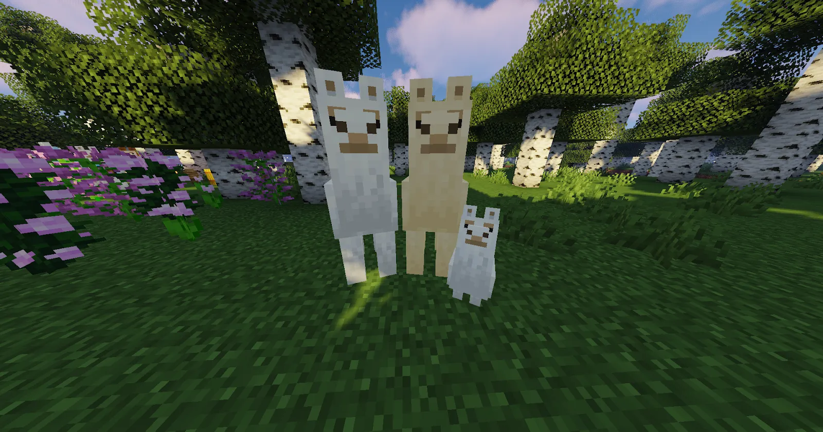 Family of 2 adult Minecraft Llamas and 1 baby Llama (cria)