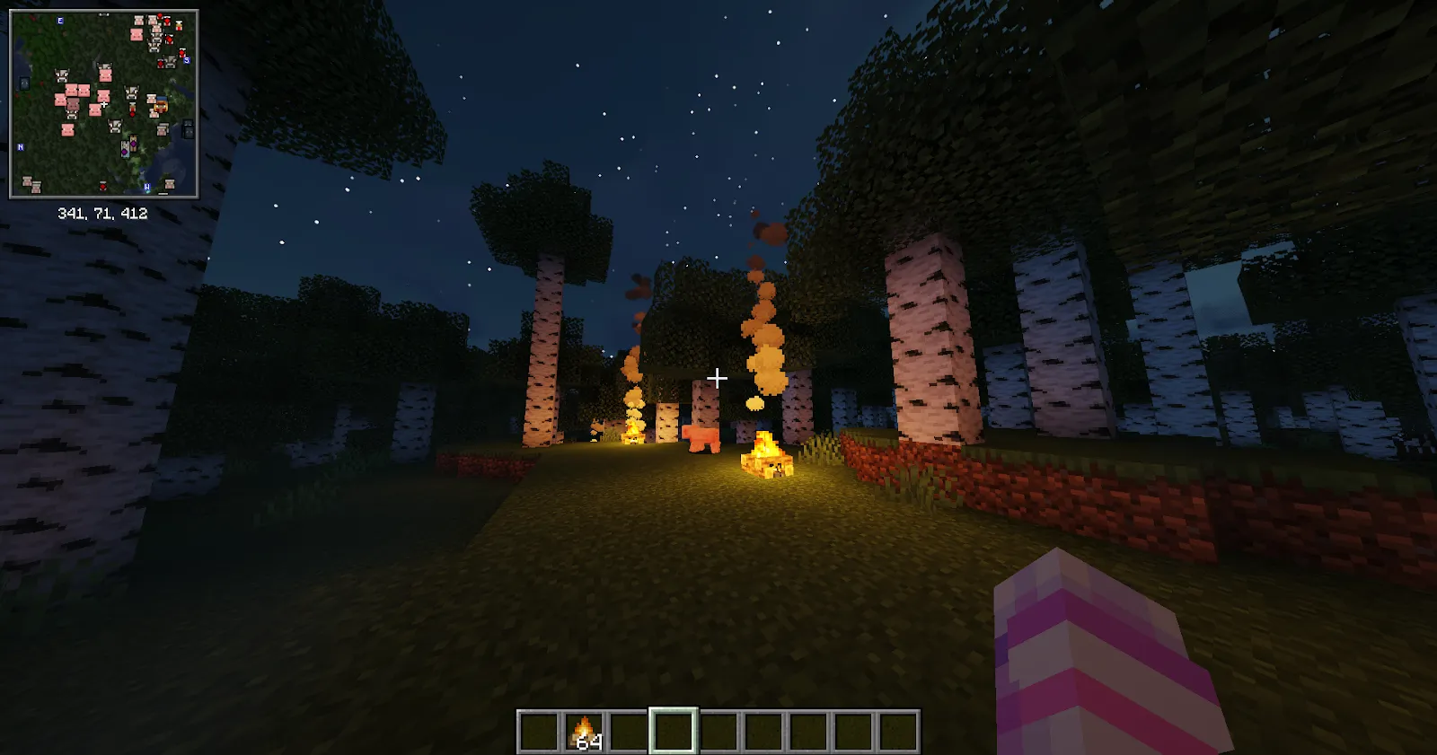 Campfires lighting pathway in Minecraft