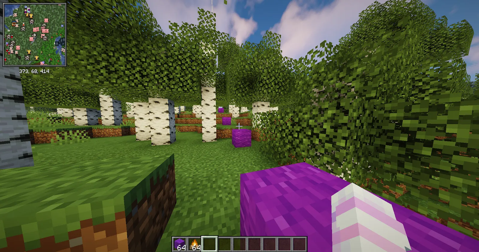 Purple wool blocks marking pathway in Minecraft