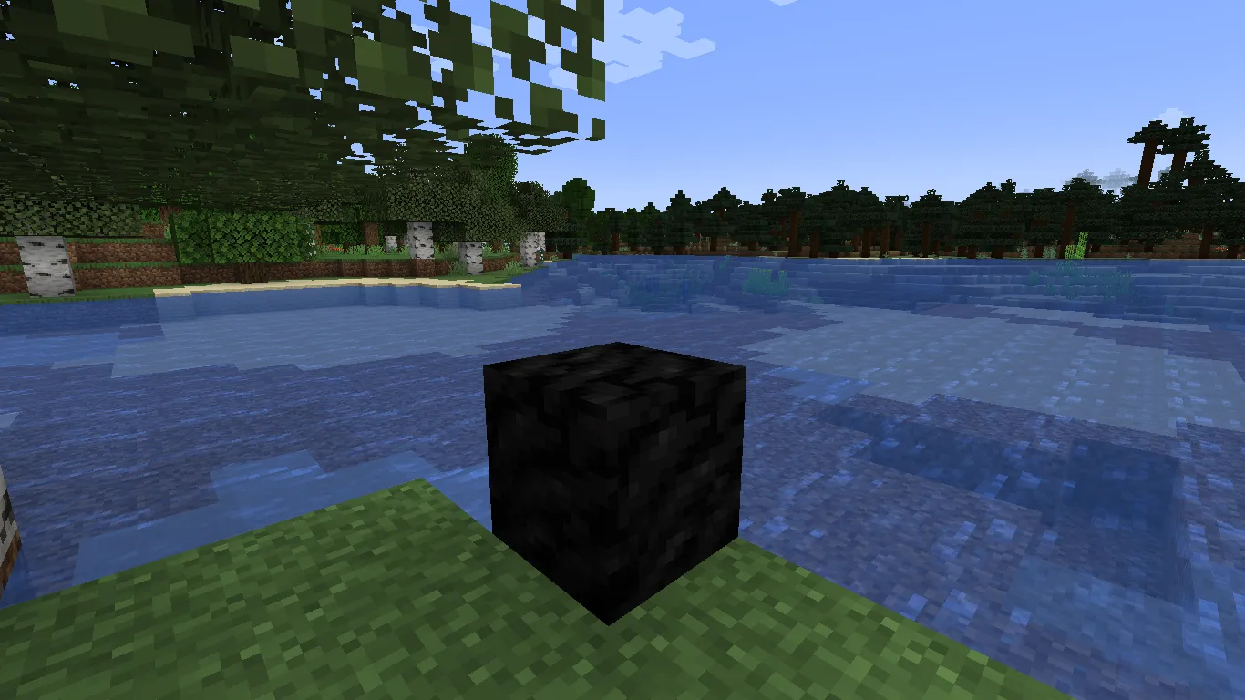 Coal Block