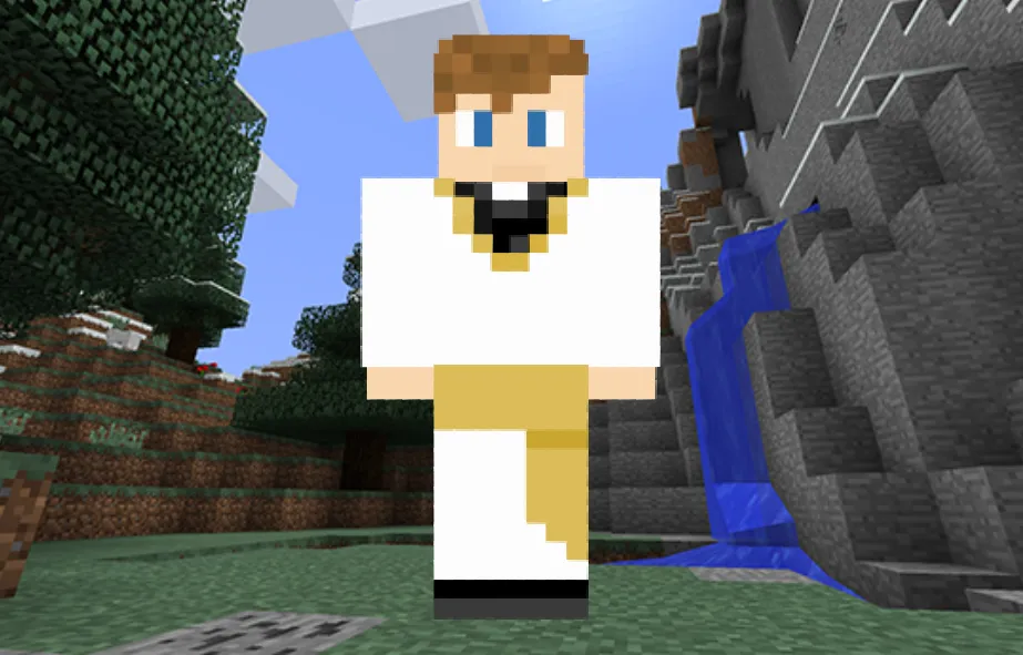 Priest Robes Skin in Minecraft