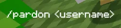 Minecraft unban Player username command