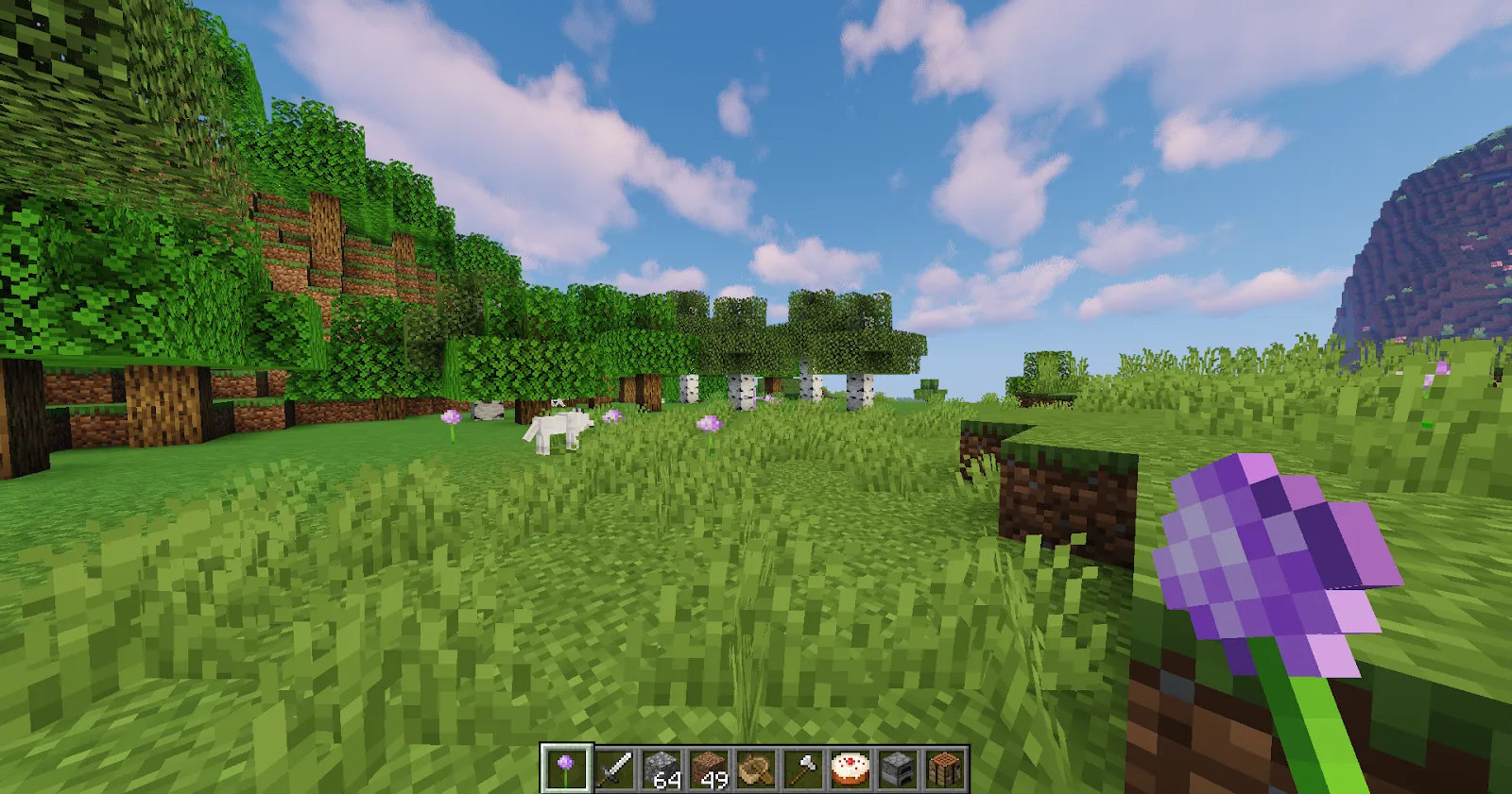 Minecraft Plains Biome