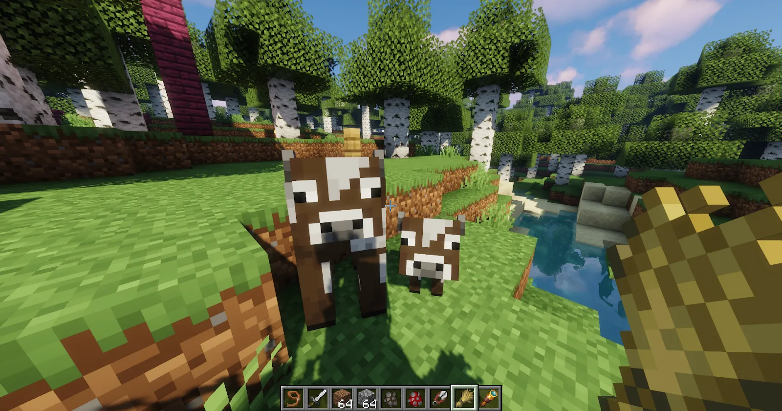 Minecraft Cows near water