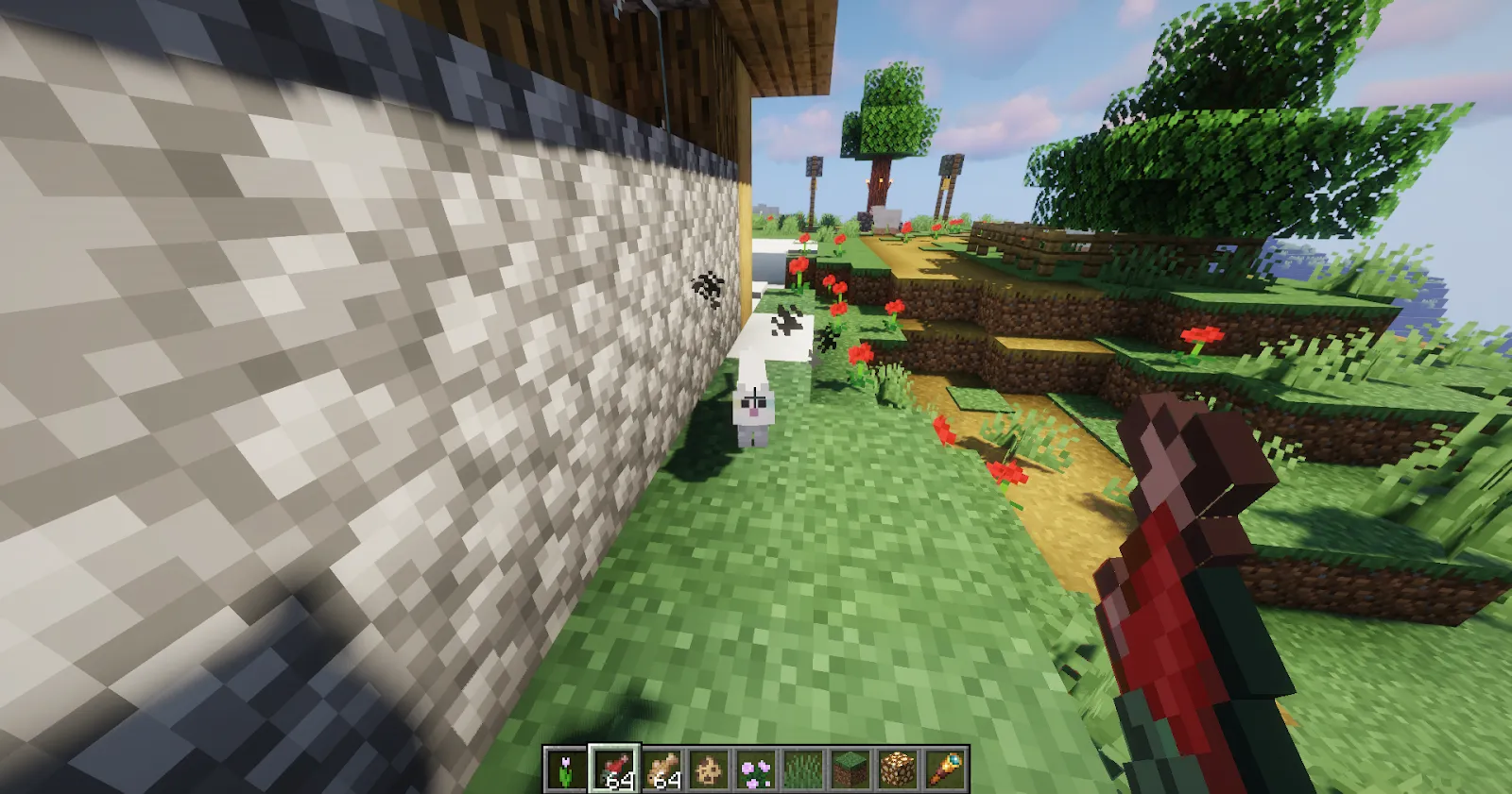 Approaching Minecraft cat to tame