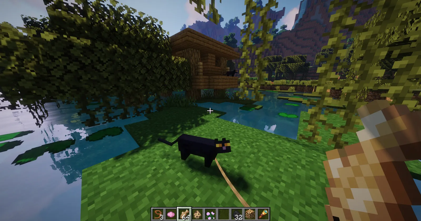 Black Minecraft cat outside swamp hut