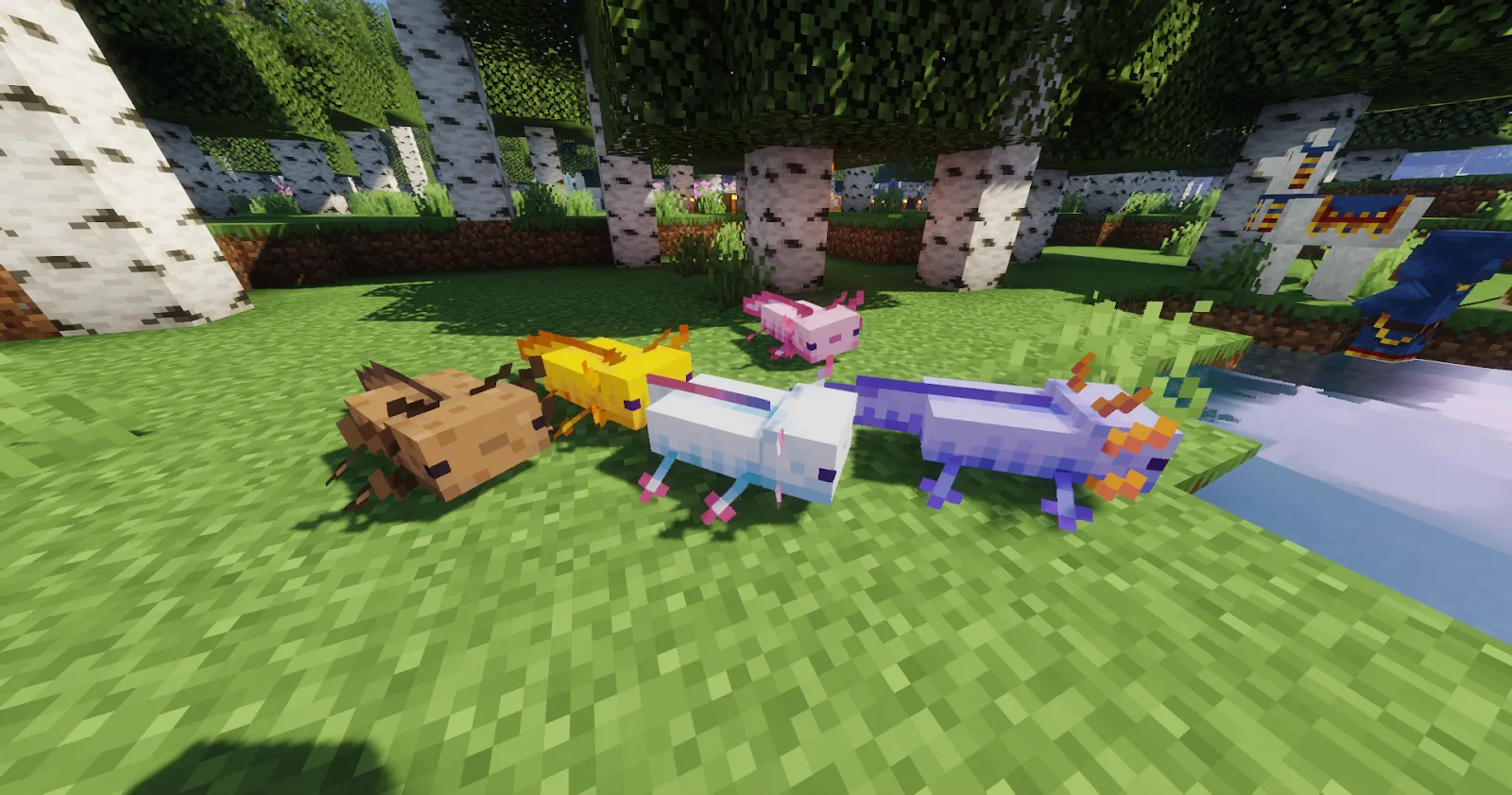 Minecraft Axolotls in 5 different colours