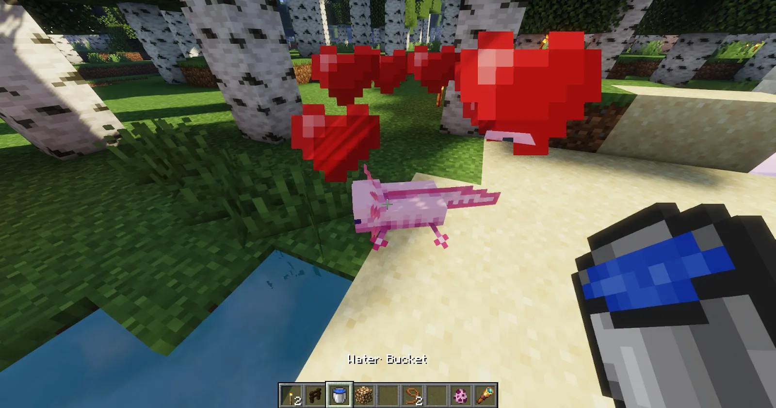 Tamed Minecraft Axolotl