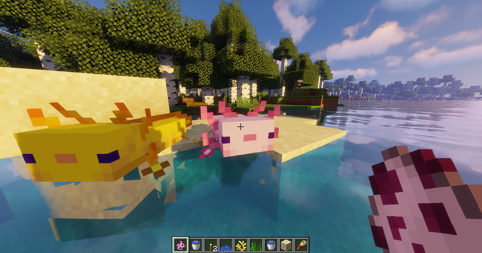 Minecraft Axolotls near water