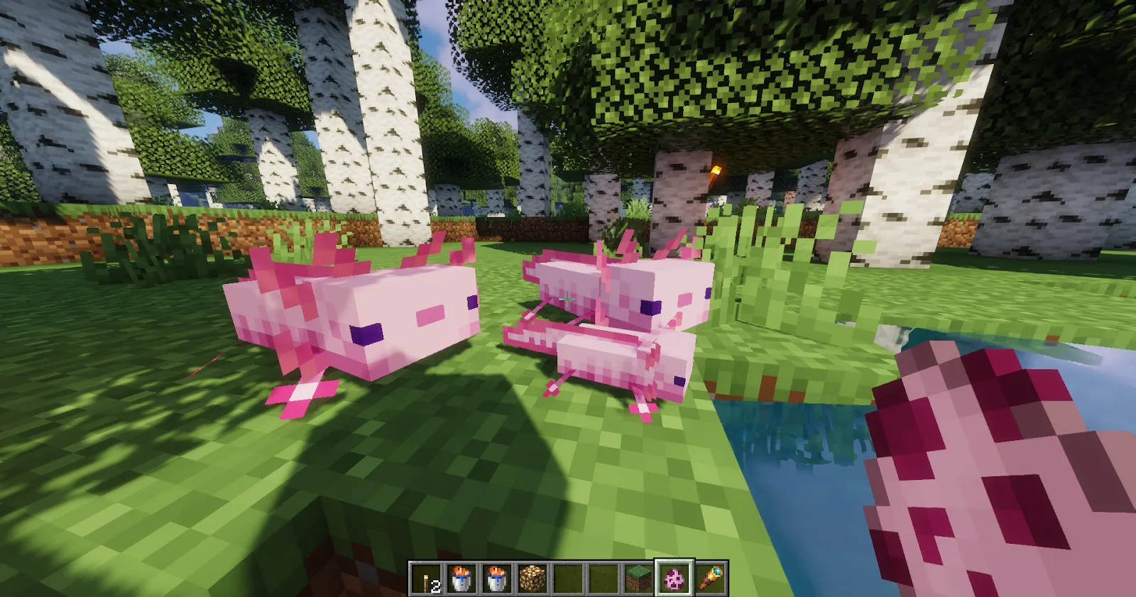 Minecraft Axolotl Family