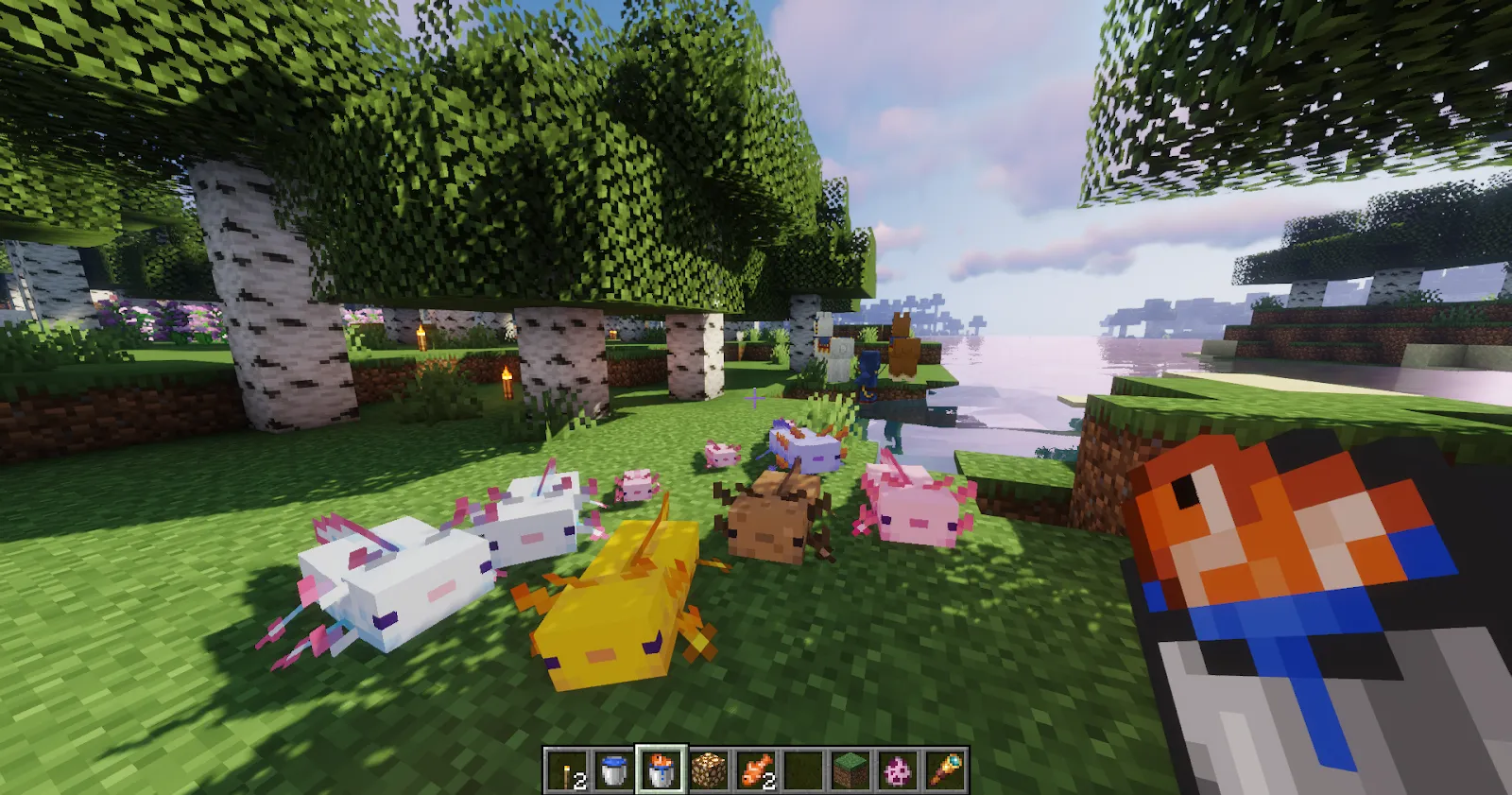 Minecraft Axolotl army