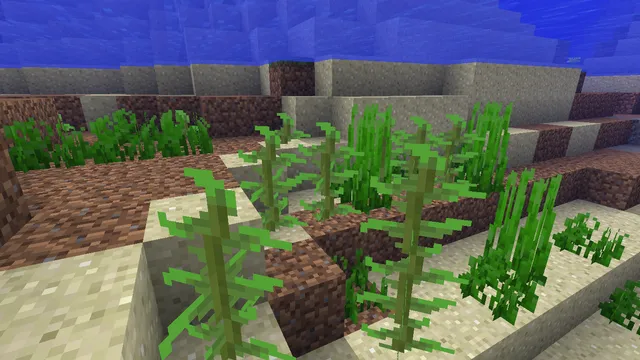 An image of seagrass in a river in Minecraft