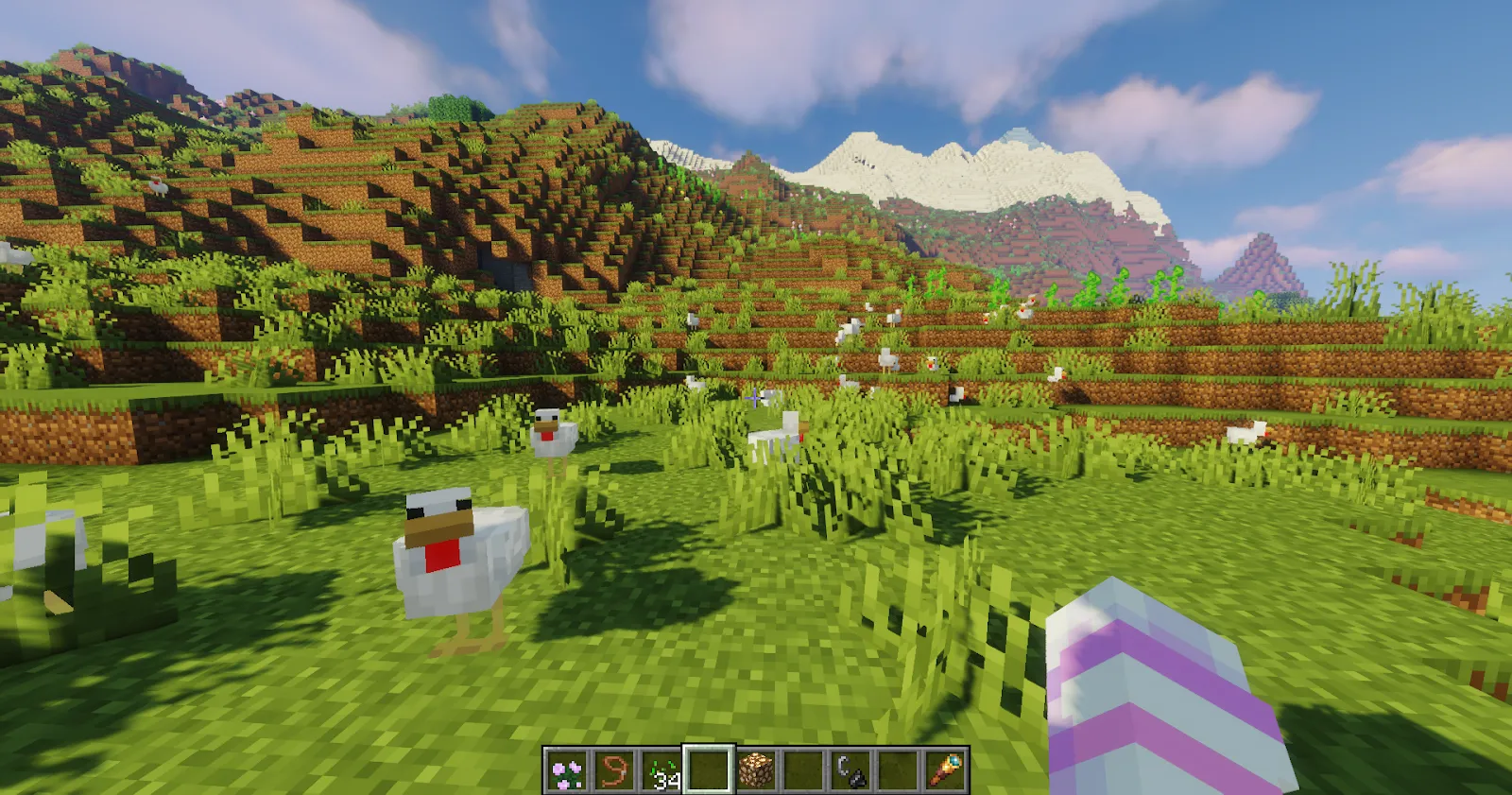 Minecraft Chickens at Plains